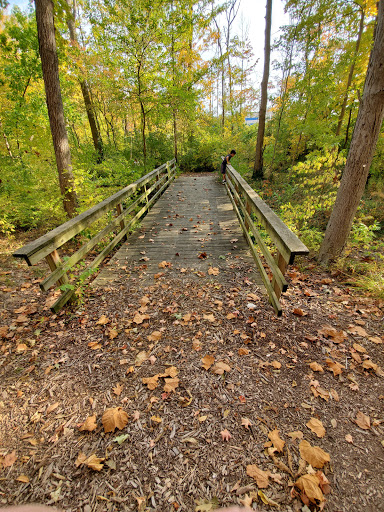 Skiles Test Eco-Trail