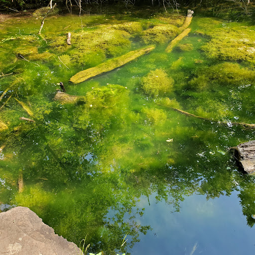 Nature Preserve «Fox Bluff Conservation Area», reviews and photos, Cold Springs Rd, Algonquin, IL 60102, USA