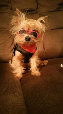 Vet-Agro inc - Photo 4 - Car repair in Bayamón, Puerto Rico, Bayamón