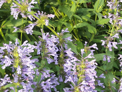 Golf Course «Harvard Gulch Golf Course», reviews and photos, 660 E Iliff Ave, Denver, CO 80210, USA