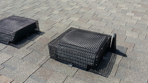 Animal Control Service «Xceptional Wildlife Removal», reviews and photos