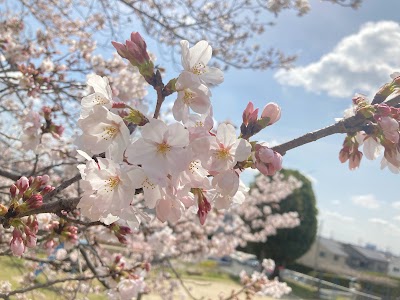 南山公園