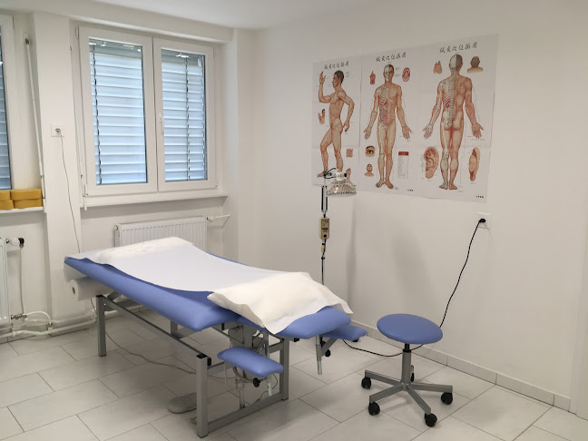 Rezensionen über Tao Ying Medi | TCM - Akupunktur - Phytotherapie in Aarau - Akupunkteur