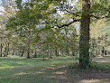 Forêt Communale Bois de Boulogne Dax