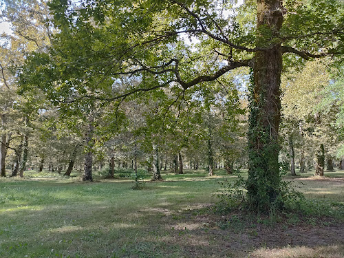 Forêt Communale Bois de Boulogne à Dax