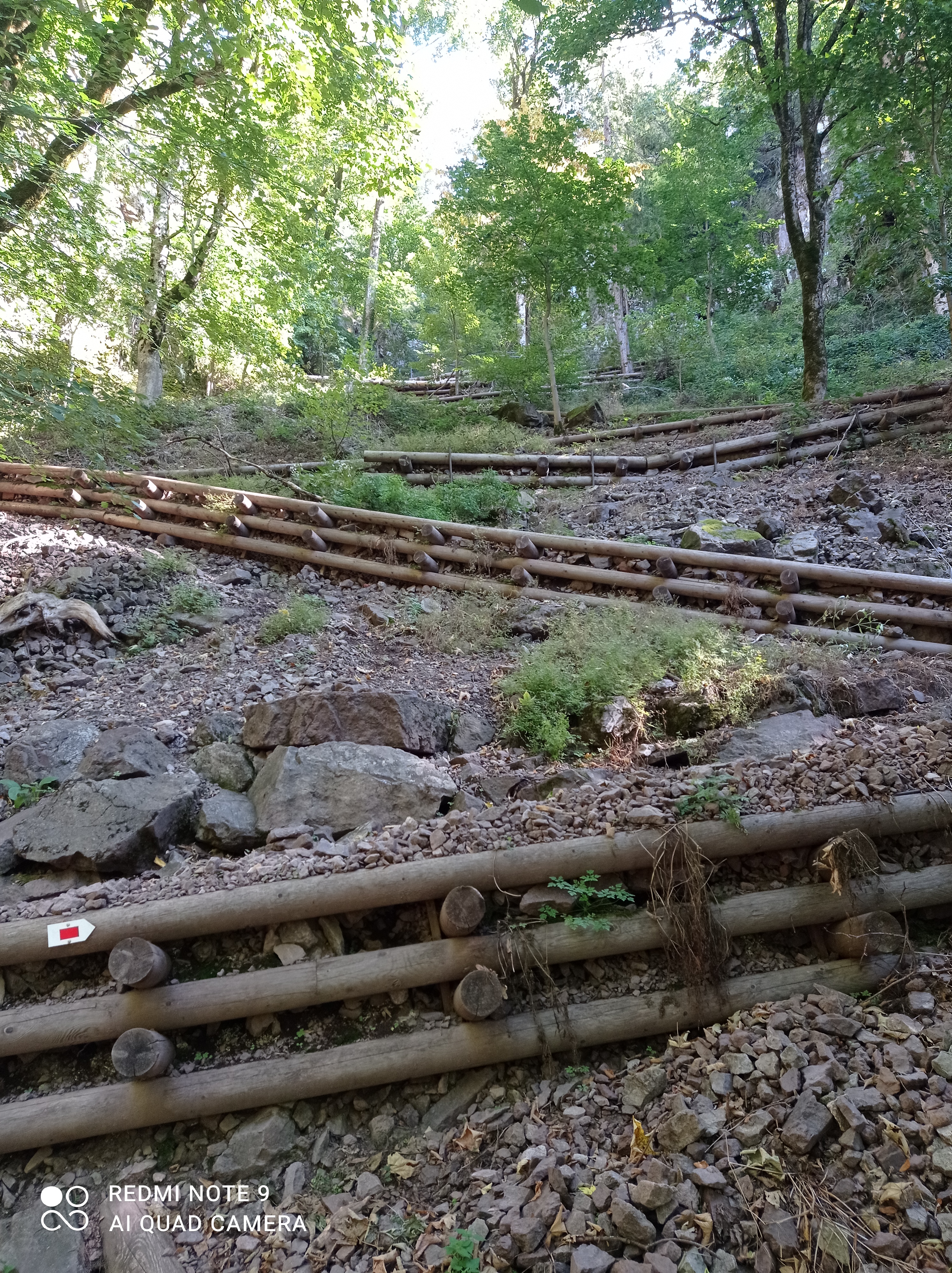 Photo n° 9 de l'avis de Florian.u fait le 25/09/2023 à 13:11