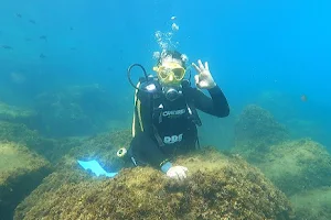 Dalia Diving Center - Centre de plongée à Dalia Tanger image