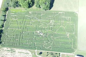 Wooden Nickel Buffalo Farm & Corn Maze image