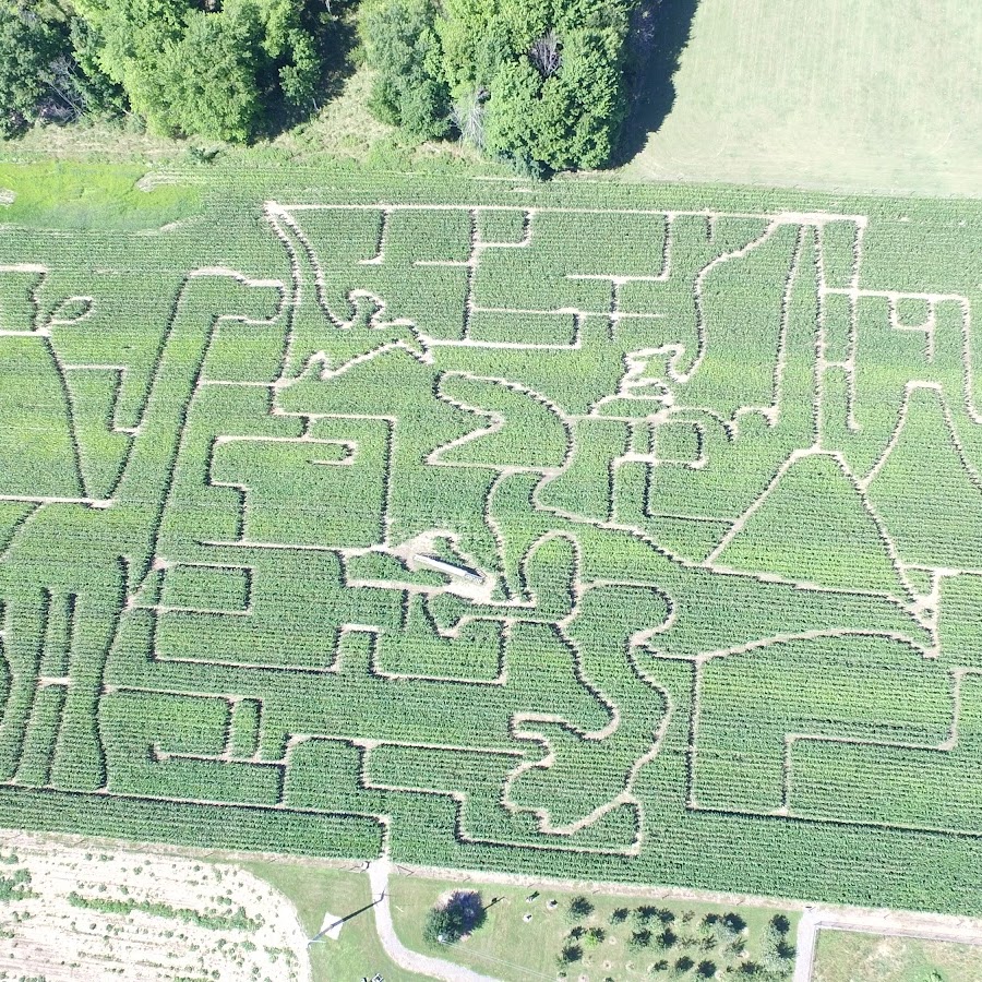 Wooden Nickel Buffalo Farm & Corn Maze