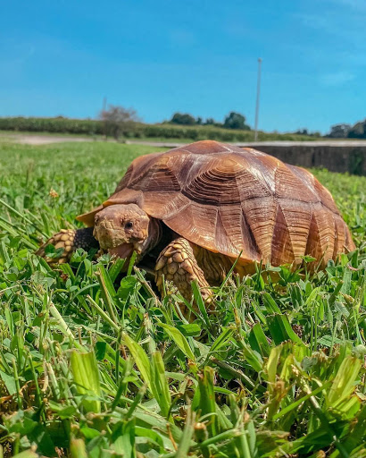Pet Store «Pet Central», reviews and photos, 1200 Smallhouse Rd, Bowling Green, KY 42104, USA