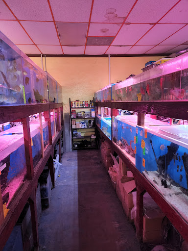 Aquarium Shop «Total Fish & Pets», reviews and photos, 137 Valley Blvd, Alhambra, CA 91801, USA