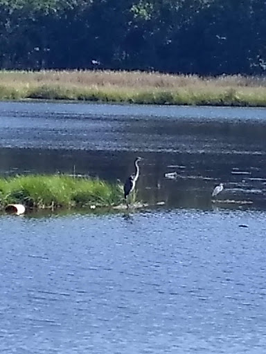 Tourist Attraction «Wetlands overlook park», reviews and photos, 4020 11th St, North Beach, MD 20714, USA