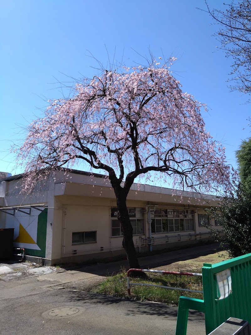 埼玉県立和光特別支援学校