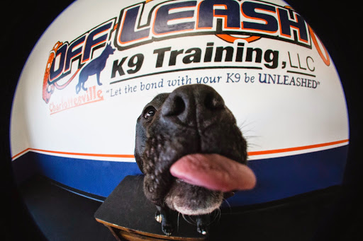 Off Leash K9 Training, Charlottesville, 8782 Seminole Trail, Ruckersville, VA 22968, USA, 