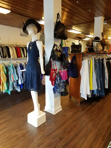 Consignment Shop «Triage Consignment Showcase», reviews and photos, 4912 S Lois Ave, Tampa, FL 33611, USA