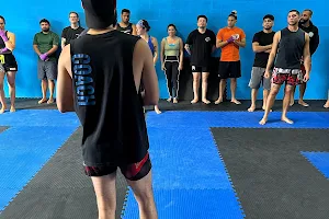 Instinct Muay Thai image