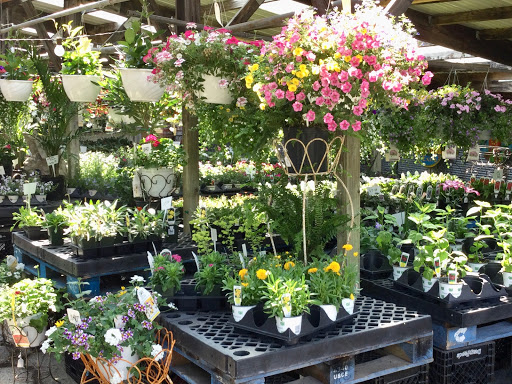 Florist «Sunshine Flowers», reviews and photos, 4509 Rainbow Blvd, Kansas City, KS 66103, USA