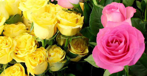 Florist «Cypress Gardens Flower Shop», reviews and photos, 10691 SW 72nd St, Miami, FL 33173, USA