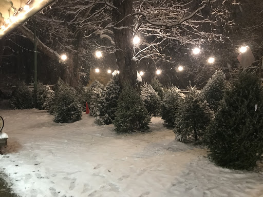 Garden Center «Chestnut Hill Flower & Garden», reviews and photos, 7639 Germantown Ave, Philadelphia, PA 19118, USA