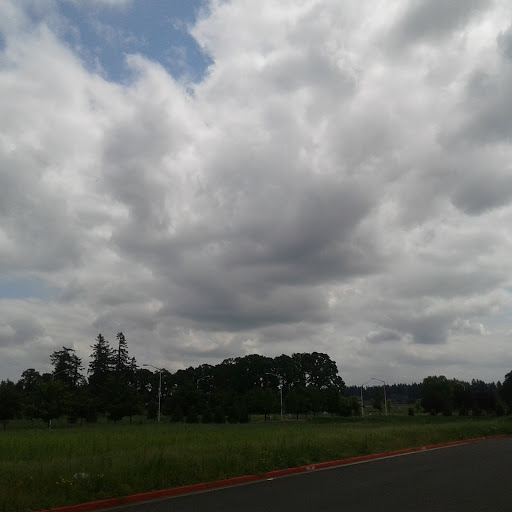 Department Store «Walmart Supercenter», reviews and photos, 14505 NE Fourth Plain Blvd, Vancouver, WA 98682, USA