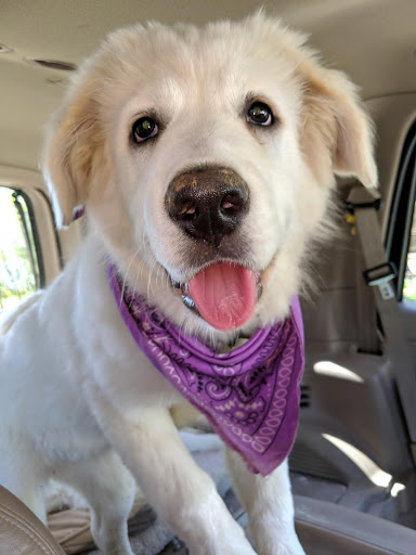 Department Store «Walmart Supercenter», reviews and photos, 310 W 5th St, Benton, KY 42025, USA