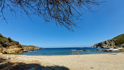 Foto di Agios Nikolaos Beach con una costa dritta