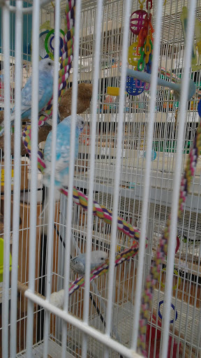 Pet Supply Store «Concord Feed Pet & Livestock Supplies», reviews and photos, 228 Hookston Rd, Pleasant Hill, CA 94523, USA