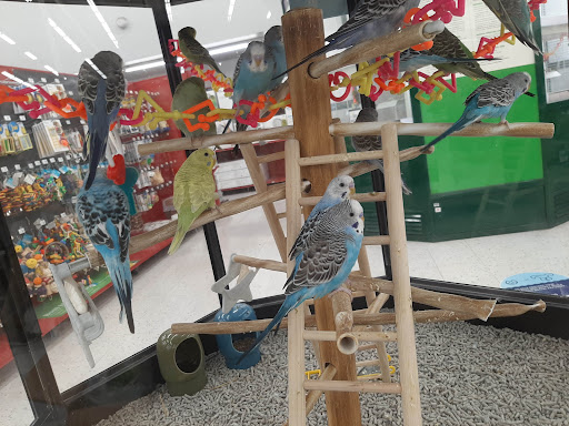 Pet Supply Store «Petco Animal Supplies», reviews and photos, 6067 Greenback Ln, Citrus Heights, CA 95621, USA