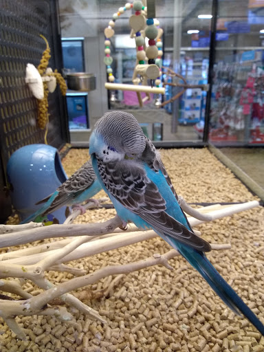 Pet Supply Store «PetSmart», reviews and photos, 218 Kentlands Blvd, Gaithersburg, MD 20878, USA