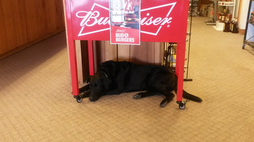 Liquor Store «Trigg County Liquors», reviews and photos, 98 Glenwood Mill Rd, Cadiz, KY 42211, USA