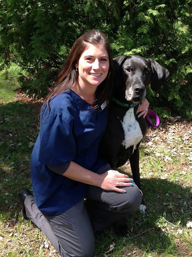 Sullivan Veterinary Service, S.C. image