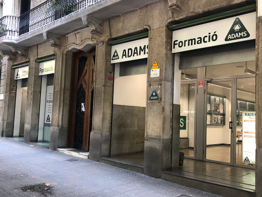 Acadèmia d’Oposicions Barcelona, ​​Cursos i Llibres | ADAMS Formació