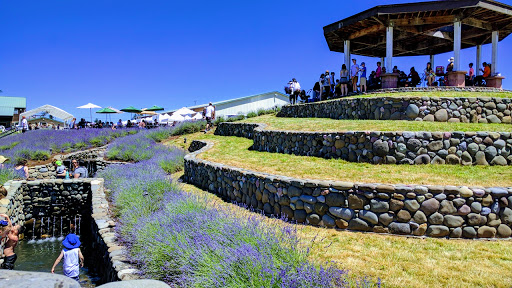 Farm «Oregon Lavender Farm», reviews and photos, 20949 S Harris Rd, Oregon City, OR 97045, USA