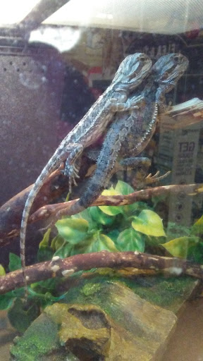 Pet Supply Store «PetSmart», reviews and photos, 219 Stafford Park Blvd, Manahawkin, NJ 08050, USA