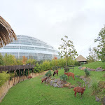 Photo n° 14 de l'avis de Pascale.A fait le 03/11/2023 à 18:43 pour ZooParc de Beauval à Saint-Aignan