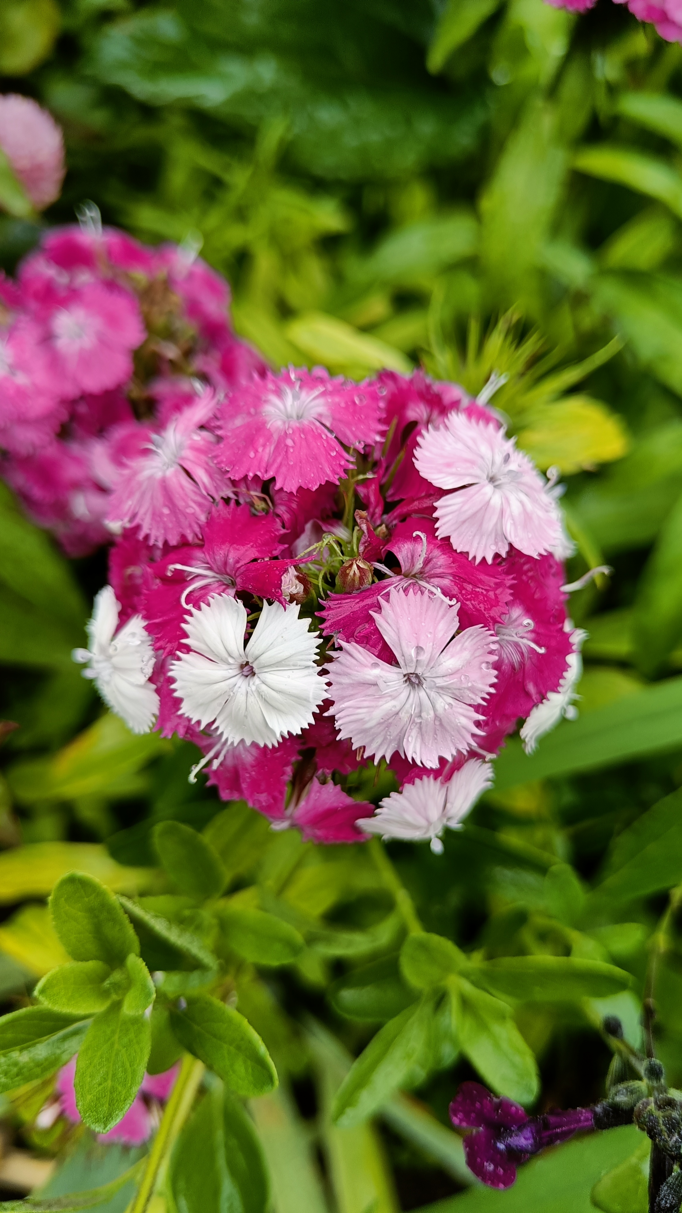 Photo n° 47 de l'avis de Eliot.o fait le 28/07/2023 à 16:35