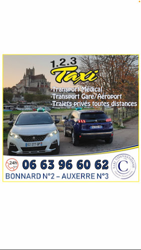 1.2.3 Taxi à Appoigny