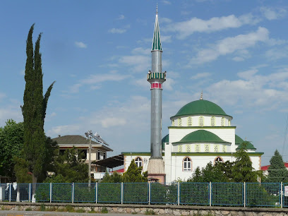 Hal Cami