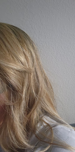 Beauty Salon «Monaco Salon», reviews and photos, 143 S Dale Mabry Hwy, Tampa, FL 33609, USA