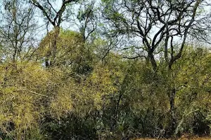 Parque Caraguata Chaco image