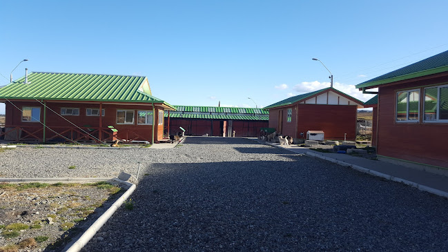 Opiniones de Centro de Rescate Canino Municipal en Punta Arenas - Guardería