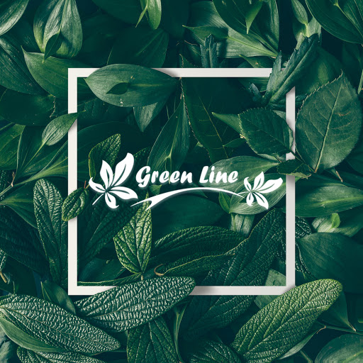 Greenline Mexico, Muros verdes, Plantas Artificiales, Pasto Sintetico