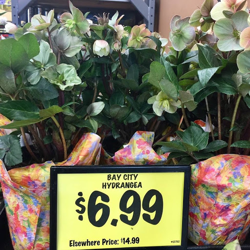 Grocery Store «Grocery Outlet Bargain Market», reviews and photos, 2001 W Whittier Blvd, La Habra, CA 90631, USA