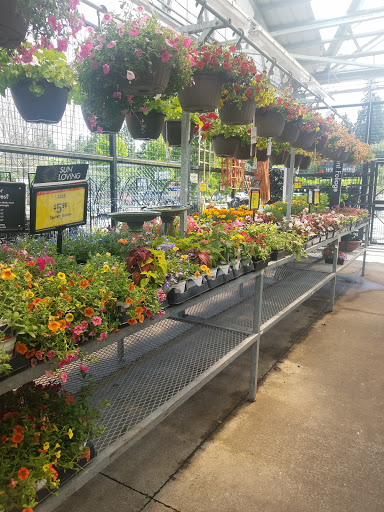 Grocery Store «Fred Meyer», reviews and photos, 6305 Bridgeport Way W, University Place, WA 98467, USA