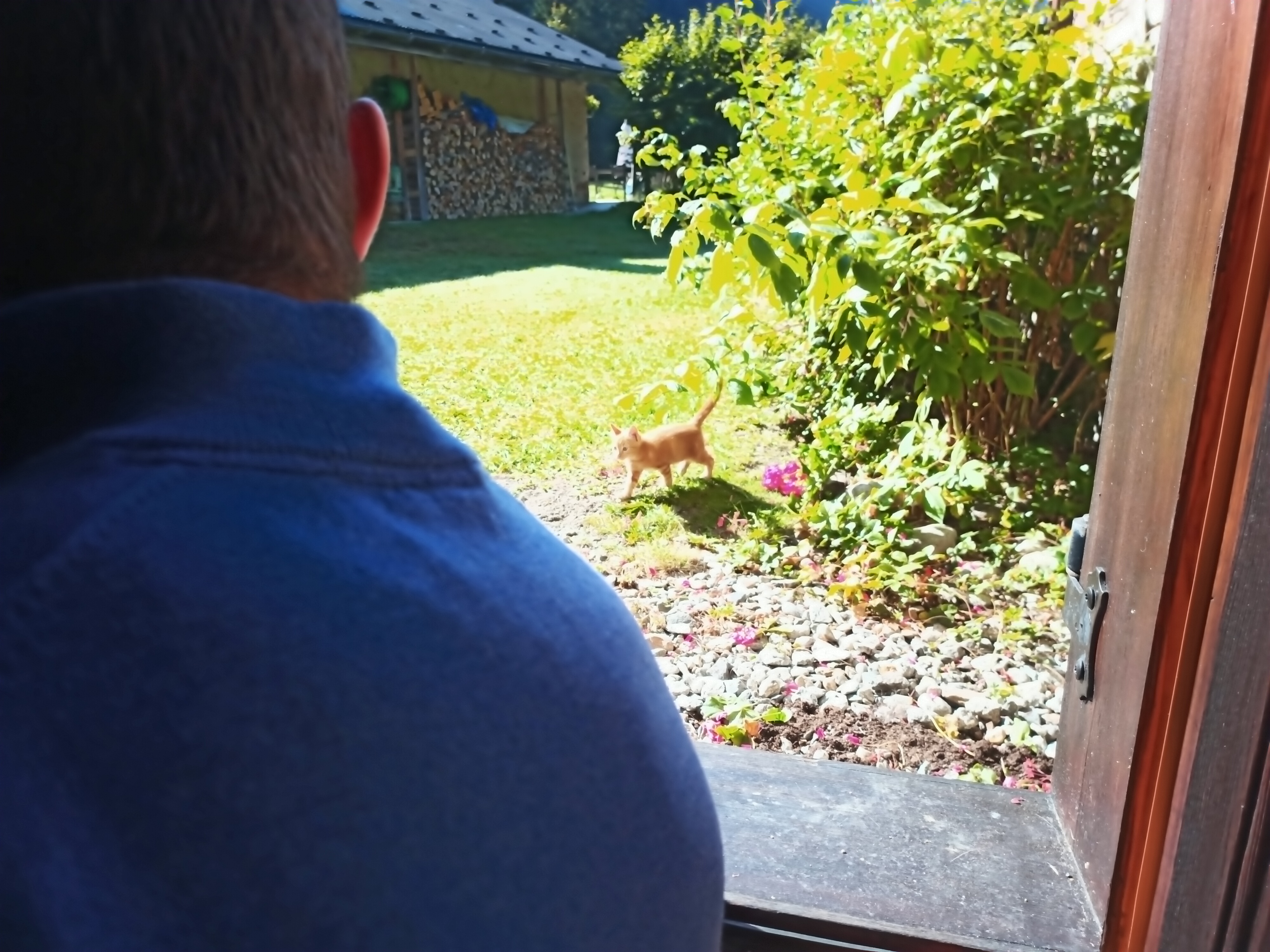 Photo n° 2 de l'avis de A..o fait le 22/09/2019 à 07:03