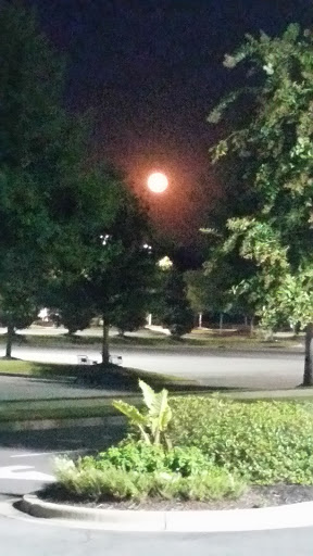 Pet Supply Store «Petco Animal Supplies», reviews and photos, 5631 Grove Blvd, Hoover, AL 35226, USA