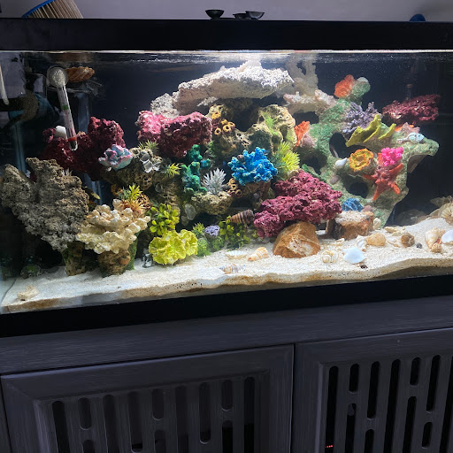 Pet Supply Store «PetSmart», reviews and photos, 5873 Spout Springs Rd, Flowery Branch, GA 30542, USA