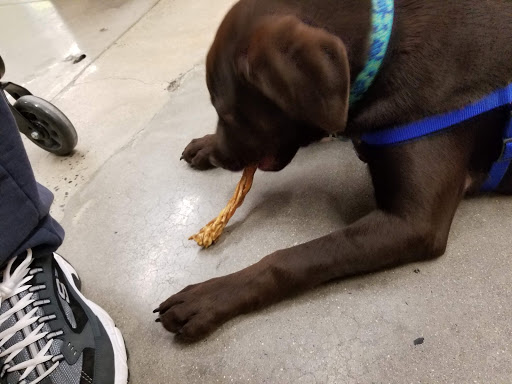 Pet Supply Store «Petco Animal Supplies», reviews and photos, 38069 Town Center Dr #222, Millville, DE 19967, USA