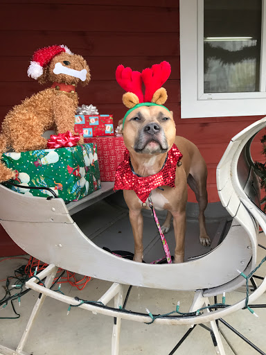 Pet Supply Store «Willow Farm Pet Services», reviews and photos, 21 VT-106, North Springfield, VT 05150, USA