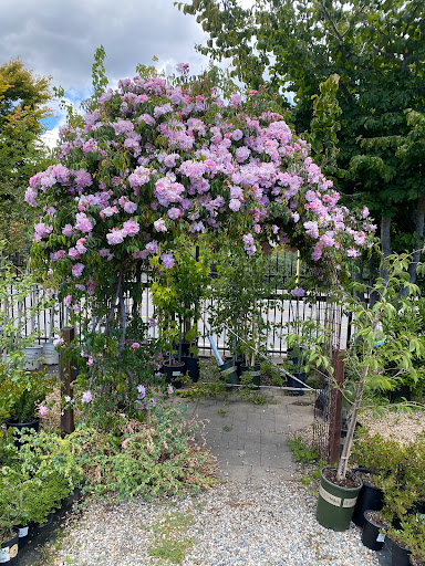 Building Materials Store «ProBuild», reviews and photos, 235 River St, Santa Cruz, CA 95060, USA